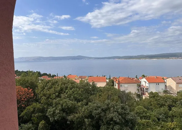 Zuzic