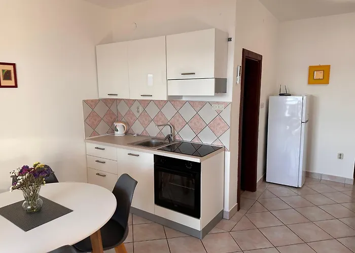 Zuzic ツリクヴェニツァ